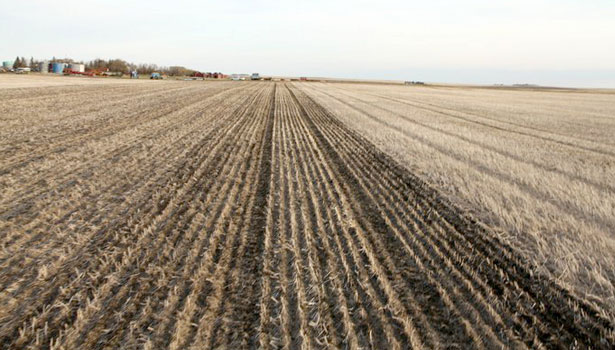 A view of freshly laid permanent tram lines.