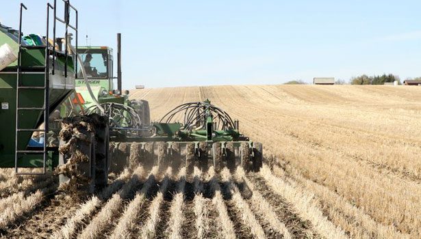 A picture of the accuracy of our inter-row seeding.