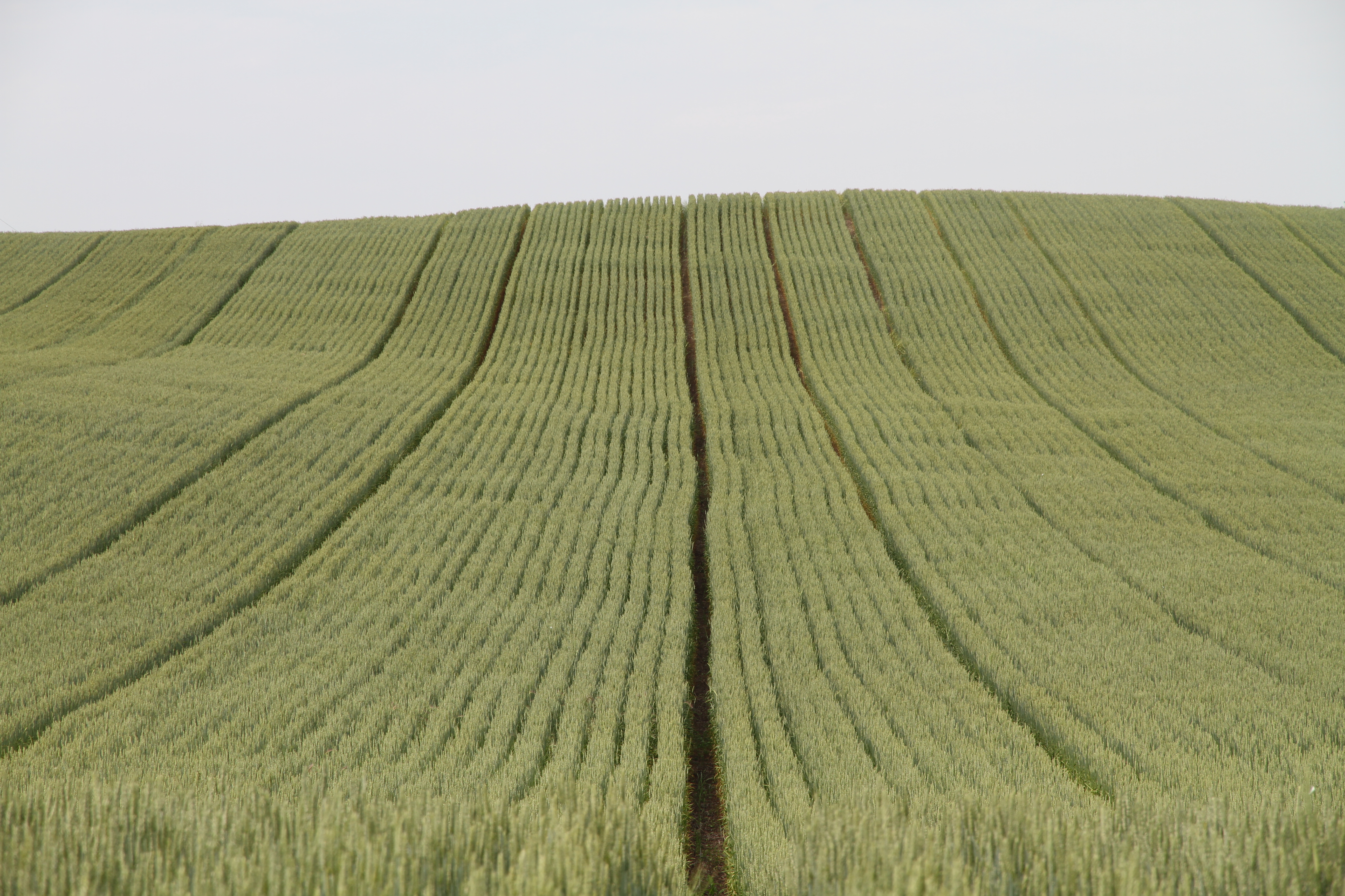 Picture of tram lines in rolling hills with 9