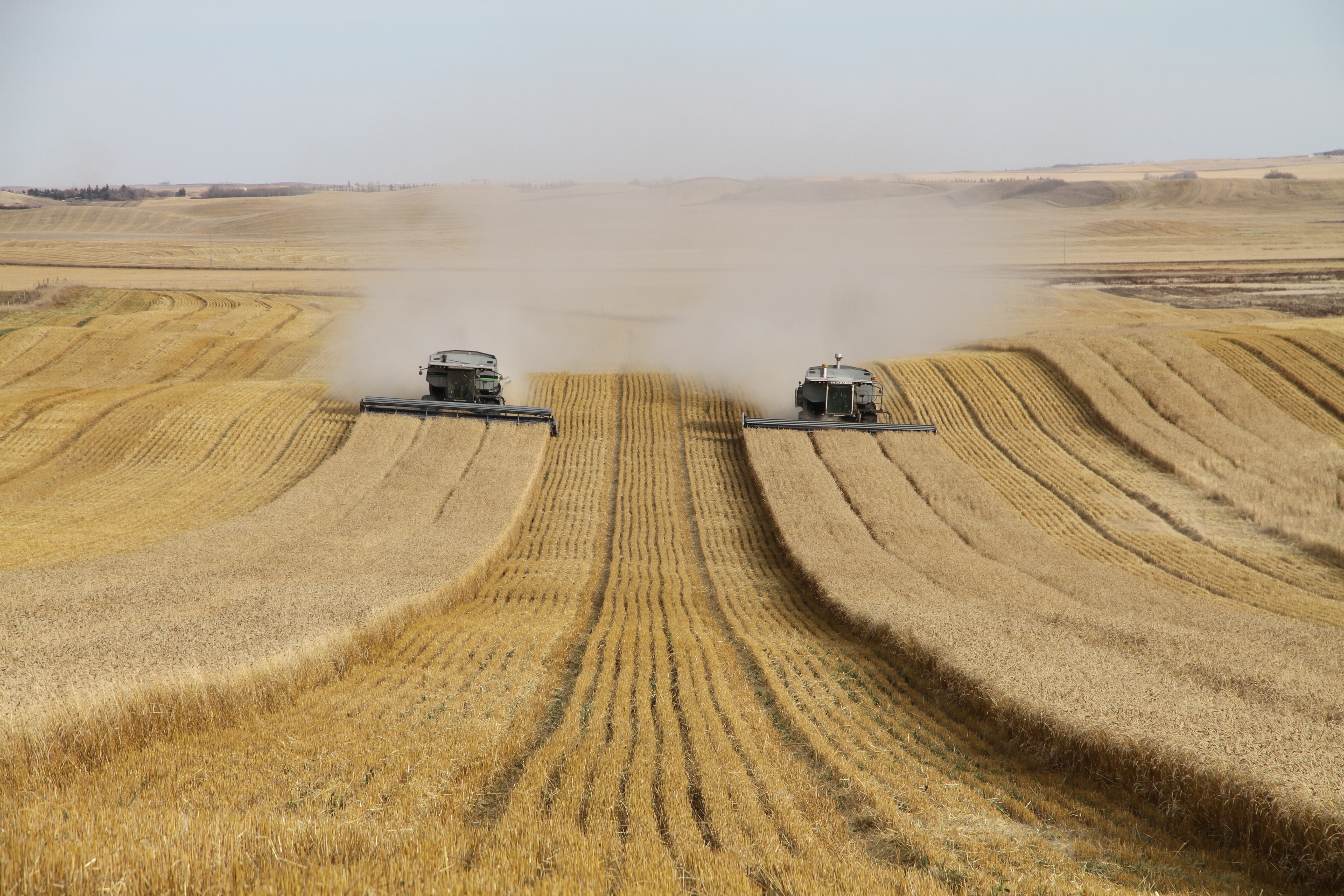 This shows two old Gleaners running on CTF tram lines, one with RTK guidance and one with nothing. 